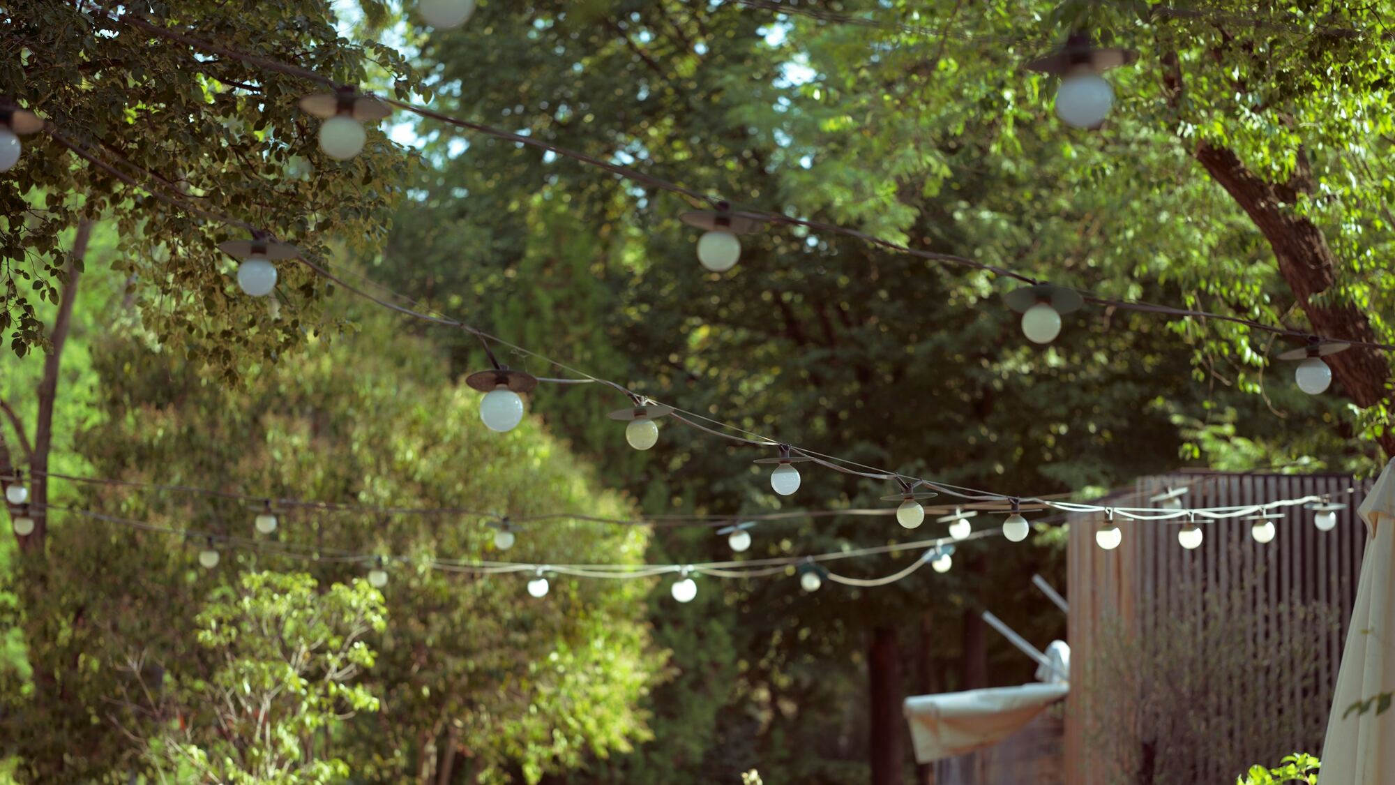 Jardín arbolado con series de luces entre los árboles