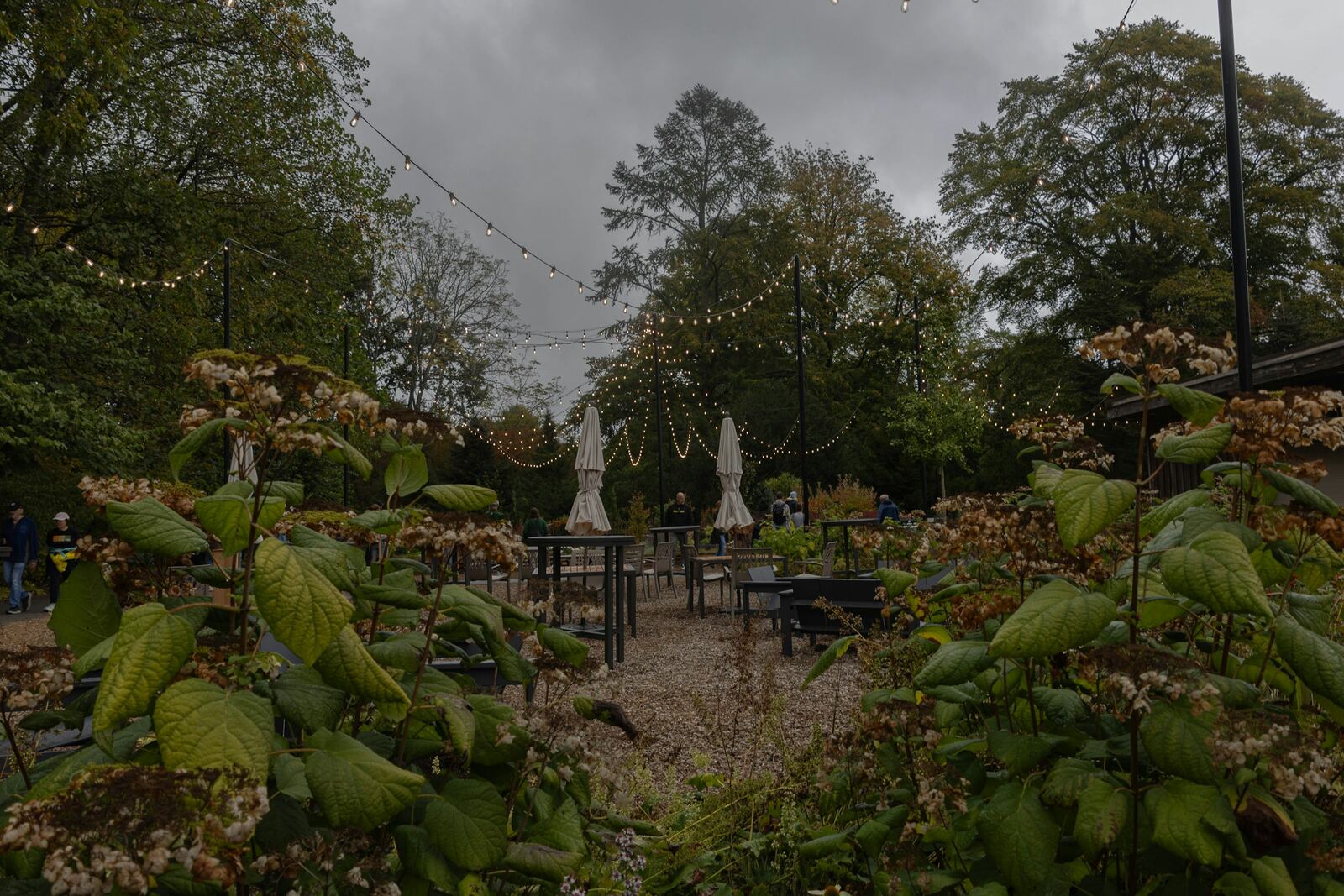 Jardín con mesas y sombrillas